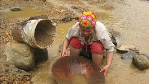 Ai bảo kê cho 'vàng tặc'?