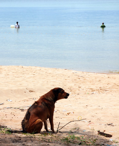 20110601154644_11.jpg