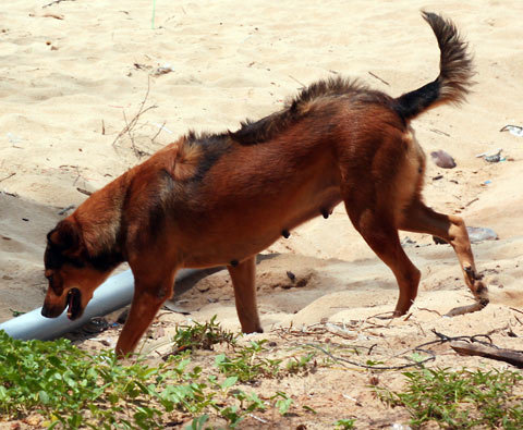 20110601154644_11a.jpg