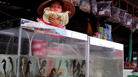 20110601154644_12.jpg