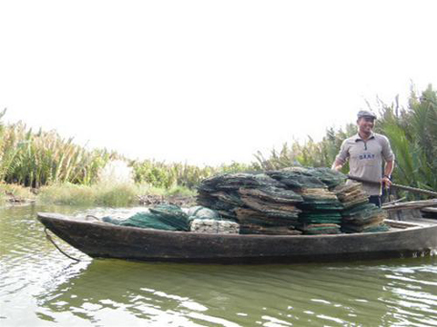 http://imgs.vietnamnet.vn/Images/2011/06/29/16/20110629163338_nambo3.jpg