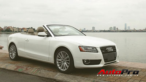 20110824151911_audi2.jpg