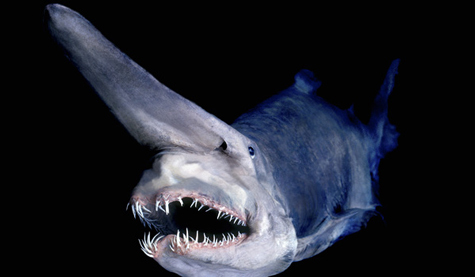 20110901110149_8.jpg