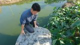 Bức văn tự bí ẩn trên phiến đá cổ