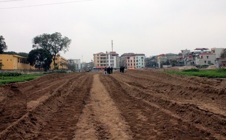 http://imgs.vietnamnet.vn/Images/2012/03/22/17/20120322172812_mo3e6fdc_1332411240.jpg