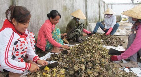 Khai thác đồ bỏ đi để thu tiền tỉ