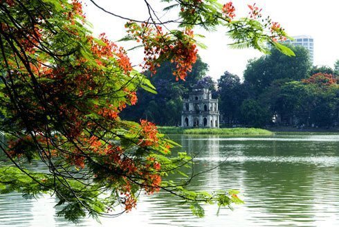 20120724141236_hoa-phuong-no-o-ha-noi33794.jpg