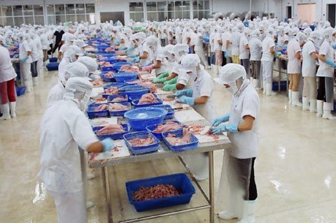 http://imgs.vietnamnet.vn/Images/2012/07/27/18/20120727183824_DS00492.jpg
