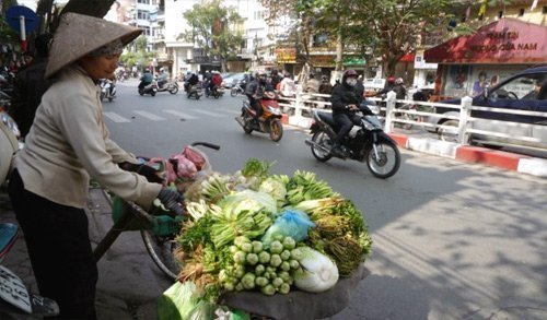http://imgs.vietnamnet.vn/Images/2012/11/23/17/20121123170014_thucphamque23.11.jpg