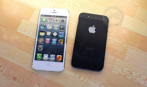 Công nghệ - Hình ảnh mới nhất của iPhone Mini (Hình 4).