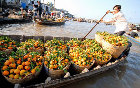 Hội An, Hạ Long, Nha Trang, Hà Nội, Mỹ Khê