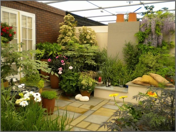 khu vườn nhỏ, trồng vườn, chăm sóc vườn cây, trang trí nhà, nhà đẹp, không gian sống