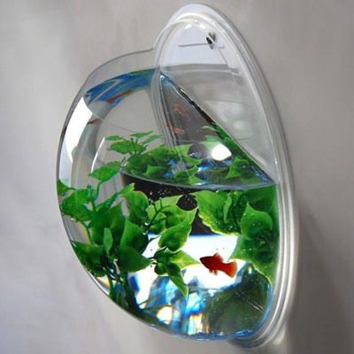mẫu bể cá cho nhà nhỏ, bể cá mini, trang trí nhà