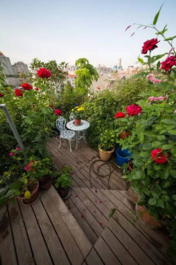 khu vườn rau và hoa, trồng rau sạch trên sân thượng, vườn hoa ban công, nhà đẹp