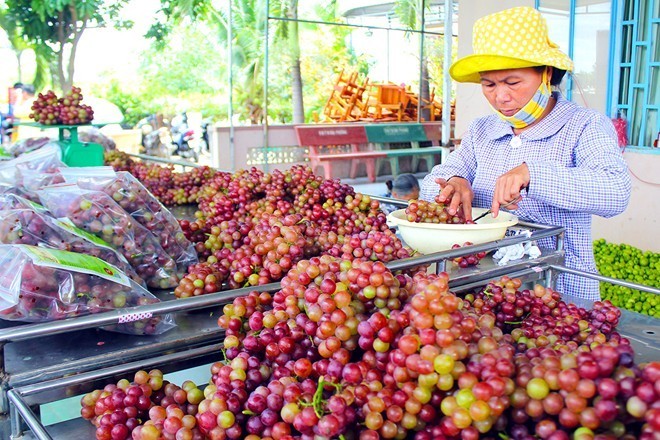Gần Tết, đặc sản giá cao nở rộ ở Sài Gòn