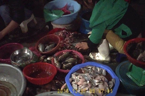 Thâm nhập thủ phủ chợ cá ươn, thối giữa lòng Thủ đô
