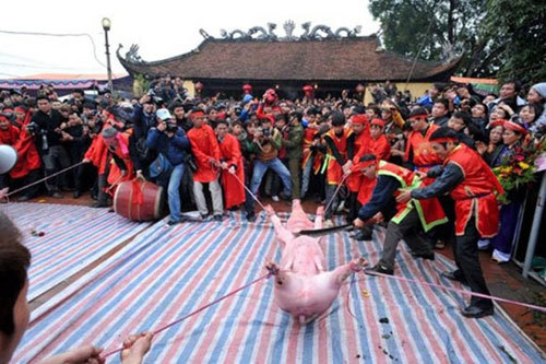 Lễ hội chém lợn làng Ném Thượng (ảnh Internet)