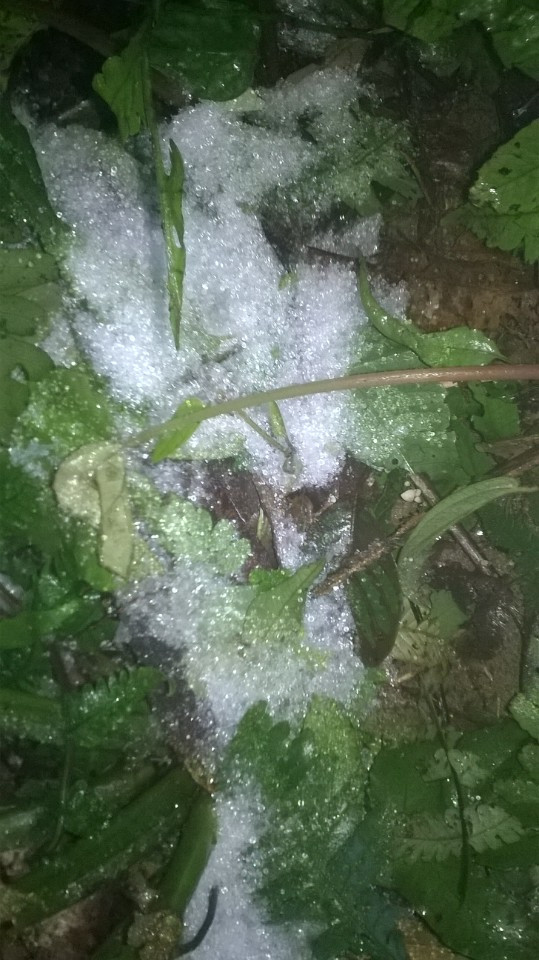 tuyết rơi ở Hà Nội, cộng đồng mạng