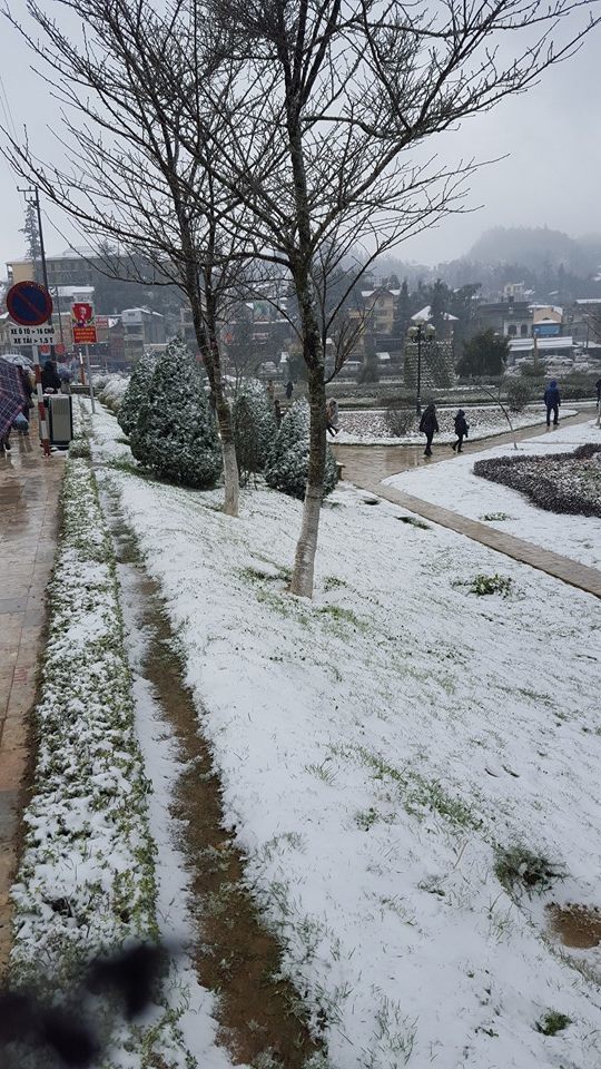 tuyết rơi ở Hà Nội, cộng đồng mạng