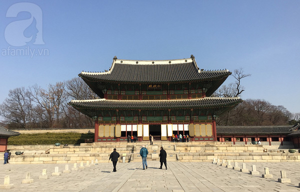 Kinh nghiệm du lịch Hàn Quốc chỉ hết 11 triệu