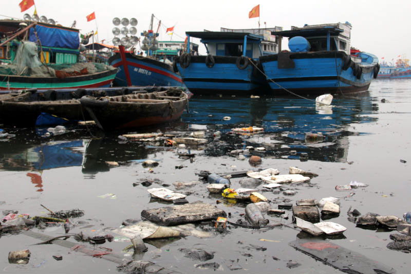 Khu vực Âu thuyền và cảng cá Thọ Quang đang bị ô nhiễm nặng (ảnh: Internet)