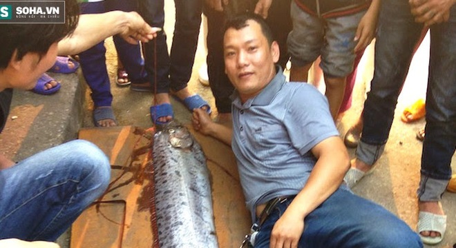 Bắt được 'thủy quái' dài gần 4m còn sống ở Nghệ An