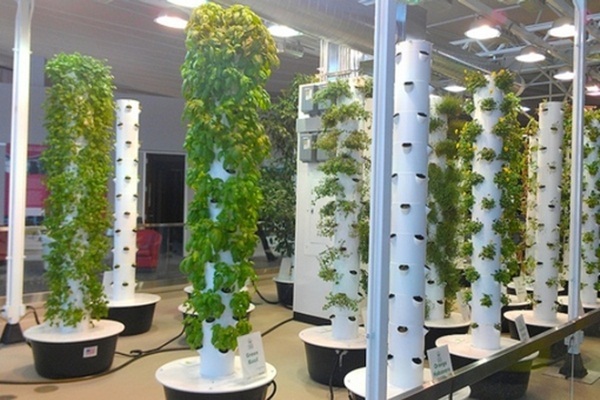 thiết kế trồng cây, ống nhựa, tiết kiệm không gian, trồng cây, ban công, dây leo
