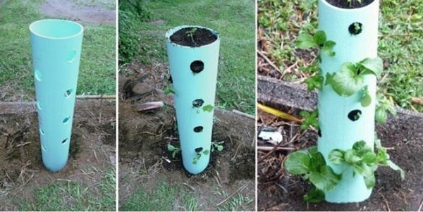thiết kế trồng cây, ống nhựa, tiết kiệm không gian, trồng cây, ban công, dây leo