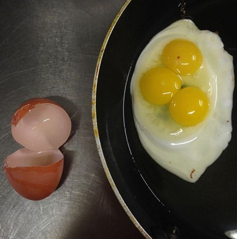 Kỳ dị trứng gà 3 lòng đỏ, toàn lòng trắng