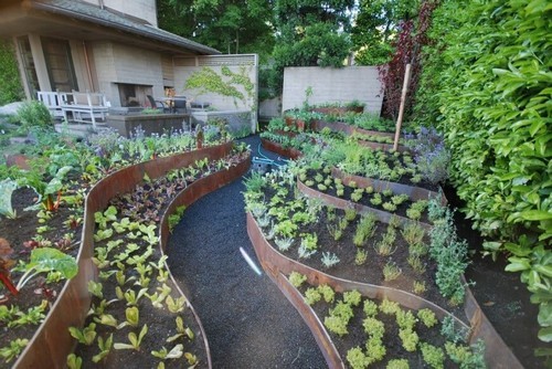 Dự án thiết kế vườn rau cho các không gian từ nhỏ đến lớn