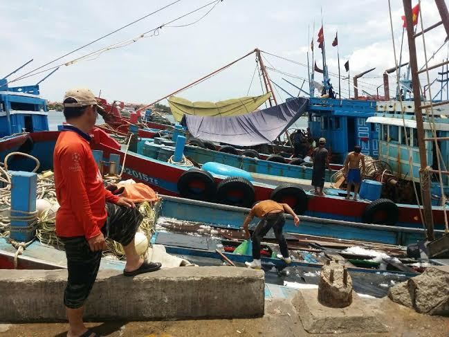 cá chết hàng loạt tại miền trung, ngư dân, Formosa