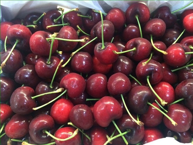 mua cherry nhập dễ bị lừa, cherry nhập khẩu, trái cây ngoại, trái cherry, cherry trung quốc giá rẻ, cherry Mỹ