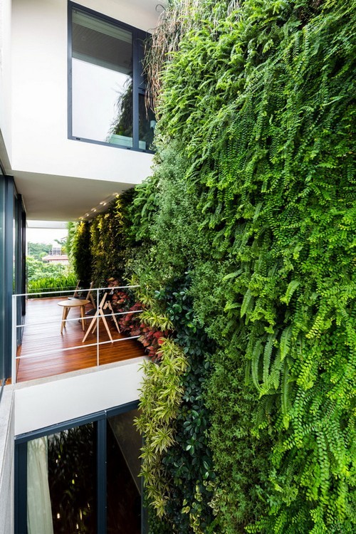 20160815163718 ngoi nha8 Thiết kế ngôi nhà có vẻ đẹp an yên với những bức tường phủ đầy cây xanh