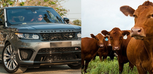 Đại gia lái Land Rover chăn bò, Phó Vụ trưởng lừa đảo 50 tỷ