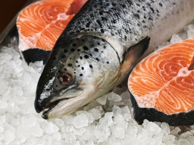 cá hồi, cá hồi nuôi, thịt cá hồi độc hại, thịt cá hồi tốt nhất, tranh cãi về thịt cá hồi, cá hồi ở mỹ, cá hồi Nauy