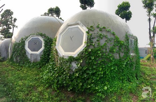 Ngôi nhà hình tròn phủ đầy cây xanh siêu độc đáo ông bố trẻ làm tặng con trai ở Hà Nội