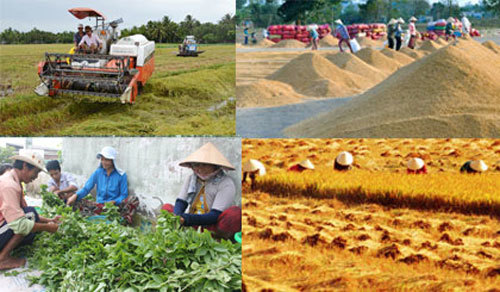 nông nghiệp Việt Nam, nông sản Việt Nam, nông sản xuất khẩu, thương hiệu nông sản, kinh tế Việt Nam, chạy theo số lượng, ngân hàng thế giới
