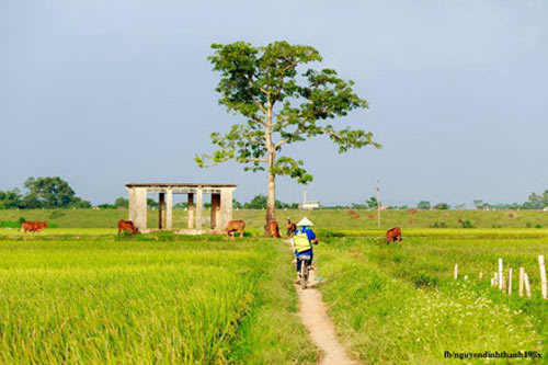 Khu du lịch tuyệt đẹp bên bờ sông Hồng, hình dáng của làng quê Việt | VOV.VN