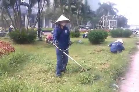 Hà Nội cắt cỏ
