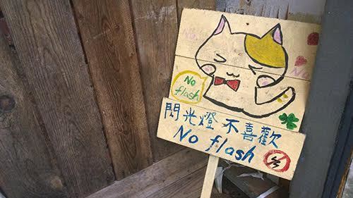 Du lịch, Du lịch Đài Loan, Đài Loan, Làng mèo Houtong, Làng mèo Du lịch, Du lịch Đài Loan, Đài Loan, Làng mèo Houtong, Làng mèo