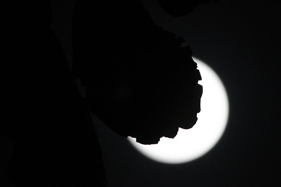 {keywords} {keywords}