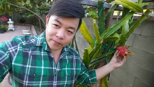 Khu vườn đầy ắp cây trái Việt của người nổi tiếng trên đất Mỹ