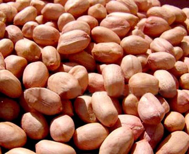 Cách nấu xôi lạc bằng nồi cơm điện, nấu xôi lạc bằng nồi cơm điện, nấu xôi lạc đơn giản nhất, món ăn ngon, hướng dẫn nấu ăn