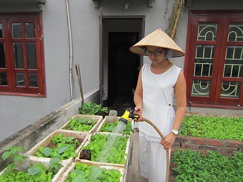Mẹ Việt tận dụng từng góc sân thượng để trồng rau cải thiện bữa ăn gia đình
