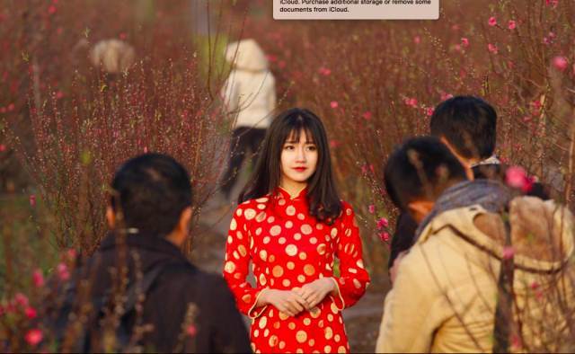'Cô gái vườn đào' trong bức ảnh ấn tượng Việt Nam của Reuters