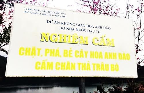 Phạm Thị Minh Hiếu, bẻ hoa tại Đà Lạt, Sở tư pháp Bình Thuận. nữ Phó giám đốc