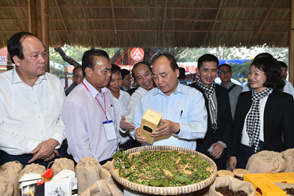 Thủ tướng Nguyễn Xuân Phúc, Nguyễn Xuân Phúc, cà phê, Buôn Ma Thuột