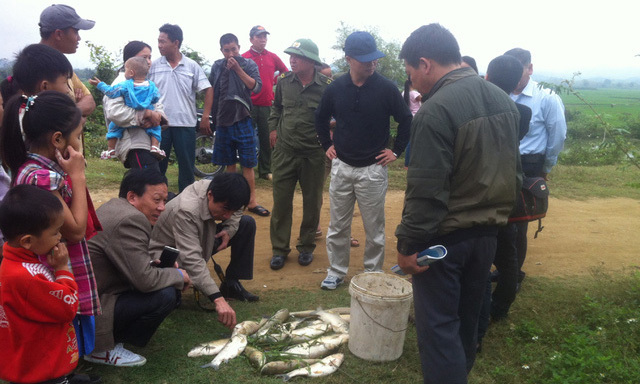 Vỡ đập chứa quặng, cá chết, chất thải kim loại