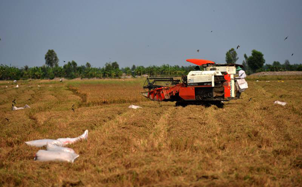 Thủ tướng Nguyễn Xuân Phúc, gỡ bỏ hạn điền, Đồng bằng sông Cửu Long, xuất khẩu gạo