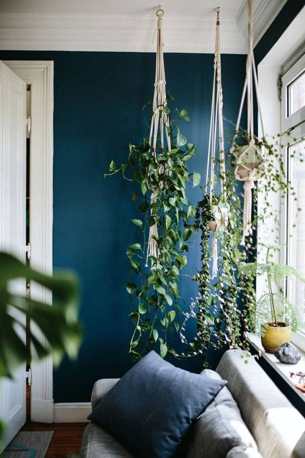 trang trí nhà, trồng cây xanh trong nhà, nhà đẹp